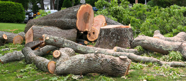 Best Aeration Services  in Fate, TX